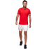 Шорты Asics MEN COURT GRAPHIC SHORT Шорты Asics MEN COURT GRAPHIC SHORT