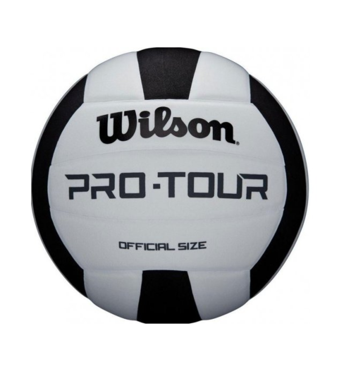 М'яч волейбольний Wilson Pro Tour VB black/white size 5