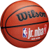 М'яч баскетбольний Wilson JR NBA FAM LOGO AUTH OUTDOOR BSKT 