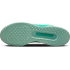 Кроссовки теннисные женские Nike Zoom Court Pro hard court green DV3285-300
