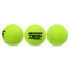 М'ячі для падел Dunlop TEAM PADEL 3PET М'ячі для падел Dunlop TEAM PADEL 3PET
