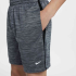 Шорты детские Nike Boy Dri-Fit MULTI SHORT grey HF9006-085 Шорты детские Nike Boy Dri-Fit MULTI SHORT grey HF9006-085