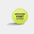 М'ячі для тенісу Dunlop Fort TS 2х4 пластик банка 601607 М'ячі для тенісу Dunlop Fort TS 2х4 пластик банка 601607