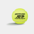 М'ячі для тенісу Dunlop ATP CHAMPIONSHIP 4PET 601627