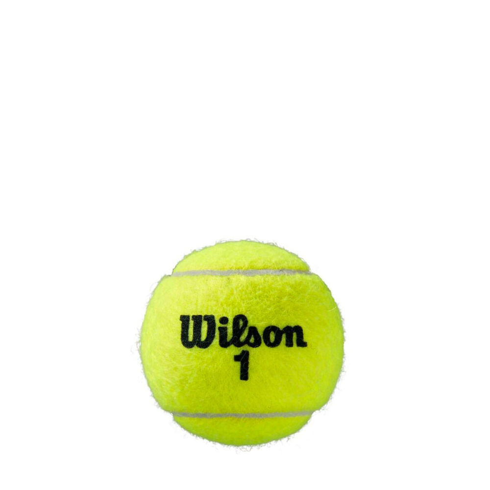 М'ячі для тенісу Wilson ROLAND GARROS All Court 4-ball WRT116400 М'ячі для тенісу Wilson ROLAND GARROS All Court 4-ball WRT116400