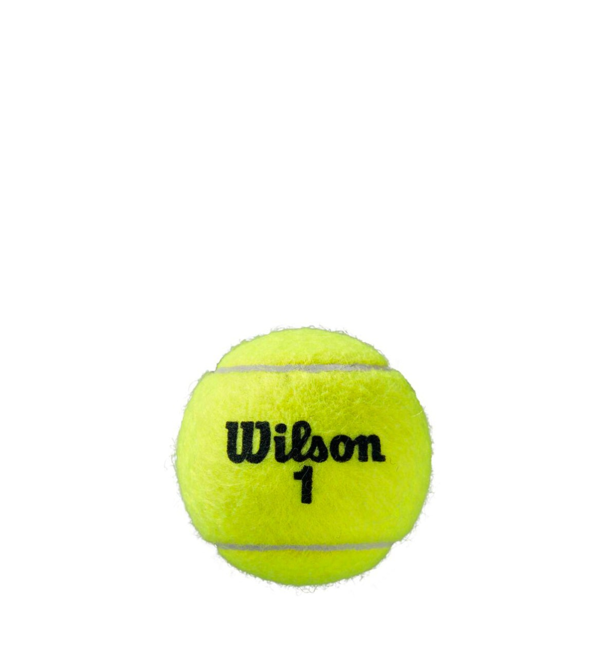М'ячі для тенісу Wilson Roland Garros All Court 4-ball