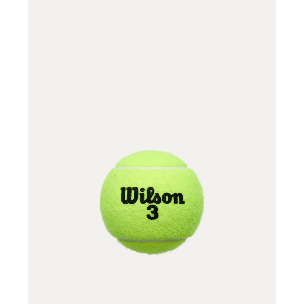 М'ячі для тенісу Wilson ROLAND GARROS All Court 4-ball WRT116400 М'ячі для тенісу Wilson ROLAND GARROS All Court 4-ball WRT116400