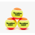 Мячи теннисные  Tecnifibre Mini Tennis orange поштучно